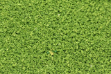 Green Scene COARSE Scatter Material