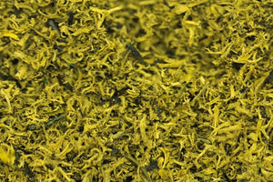 Green Scene GS306 Green Bracken (Shredded Lichen)