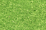 The Green Scene Collection - FINE Scatter Material