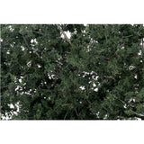 Woodland Scenics WF1130 Fine Leaf Foliage - DARK GREEN