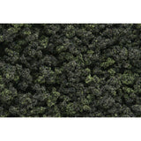Woodland Scenics WFC1639 Underbrush (Tub) - FOREST BLEND