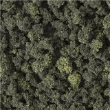 Woodland Scenics WFC1649 Bushes (Tub) - FOREST BLEND