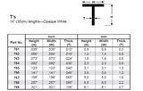 EVERGREEN Styrene T-Profile